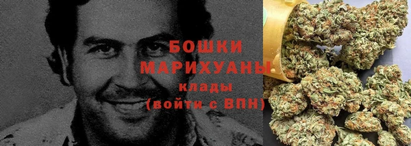 не бодяженный Бородино