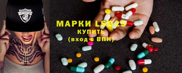 гашиш Богданович